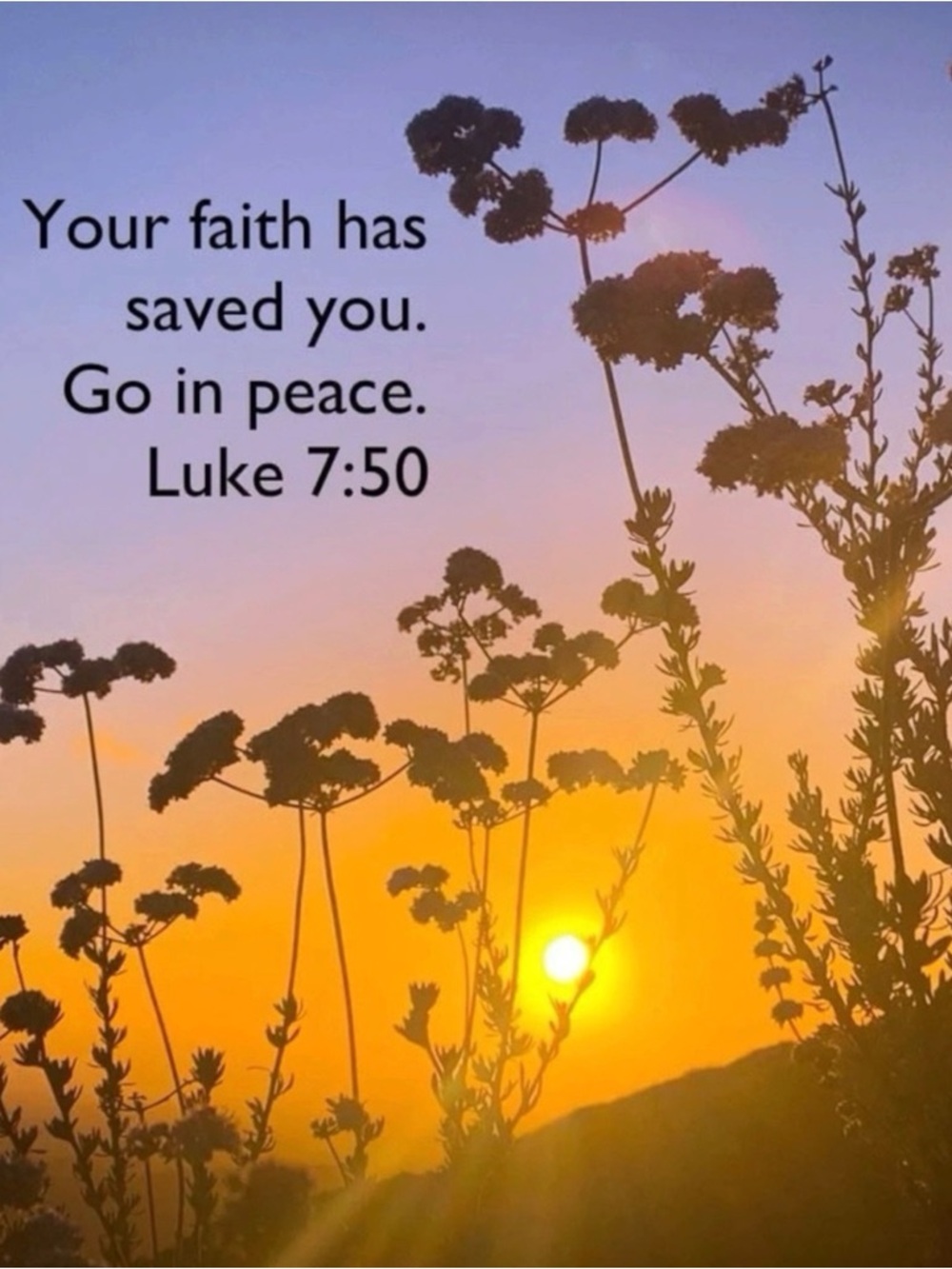 Anthropologie The Somerset Maxi Dress: Puff-Sleeve Edition Size Large Floral - Picture 12 of 14